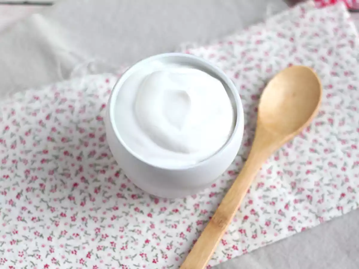 Eggless milk mayonnaise - lactonesa - photo 2