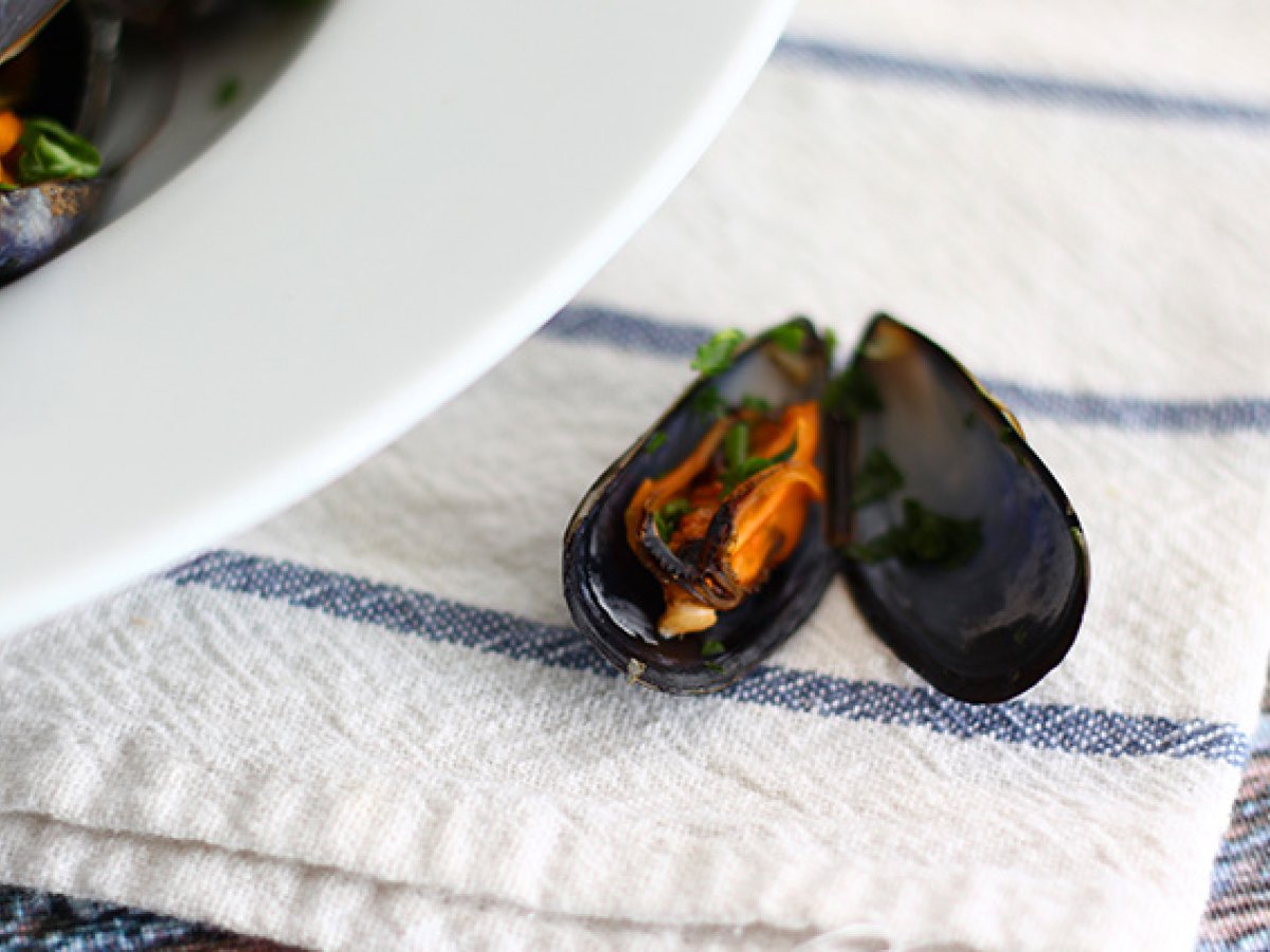 French mussels - photo 3