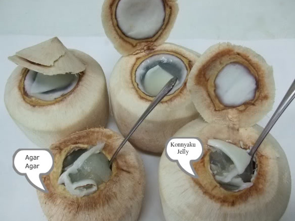 Fresh Coconut Jelly