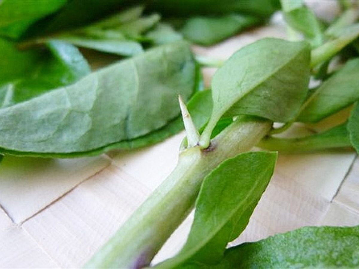 Fresh Matrimony Vine Leaves Soup, Kou Kee Chye Soup - photo 2