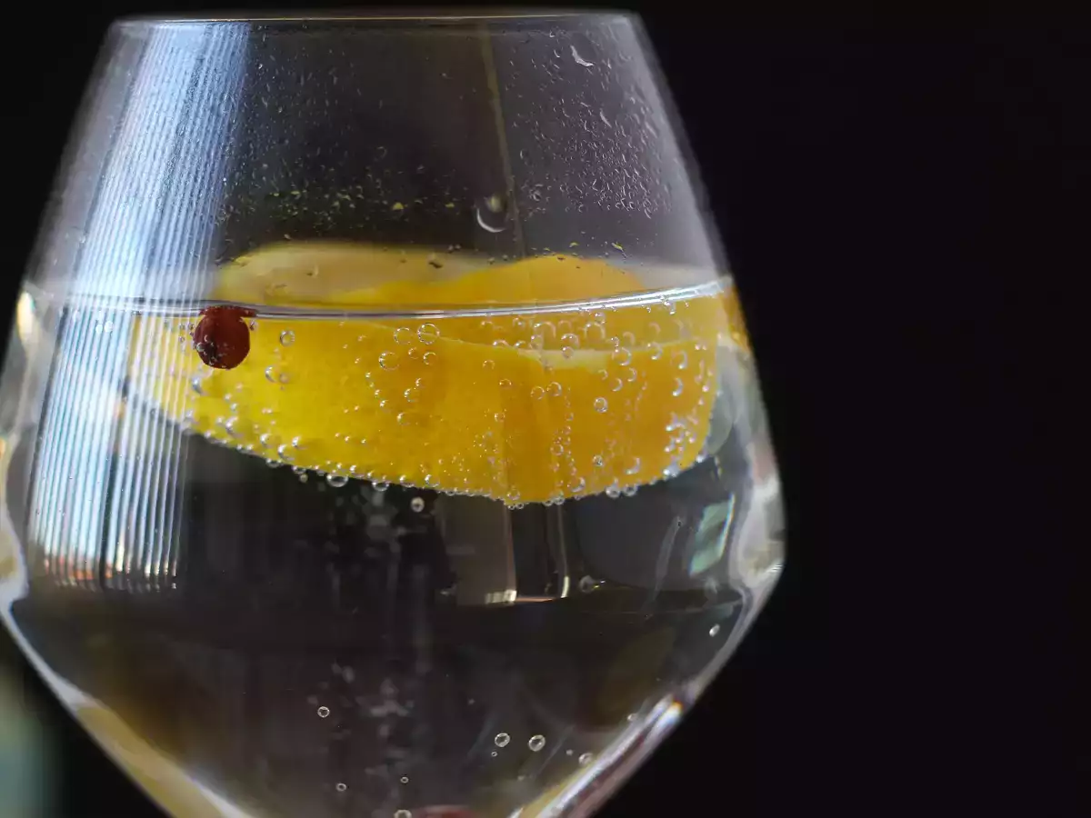 Gin and tonic, the essential aperitif cocktail! - photo 5