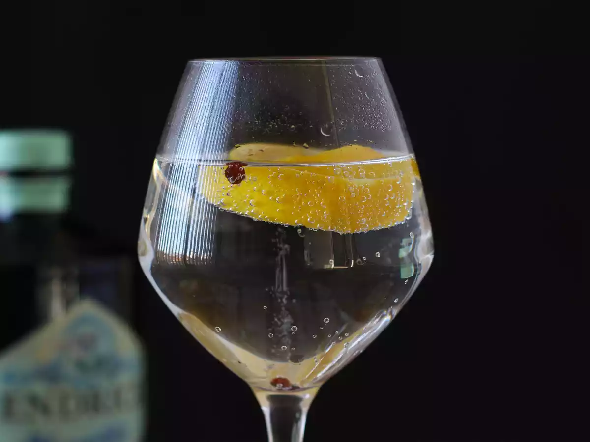 Gin tonic, easy and quick cocktail recipe - photo 2