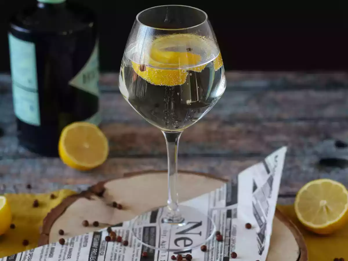 Gin tonic, easy and quick cocktail recipe - photo 3