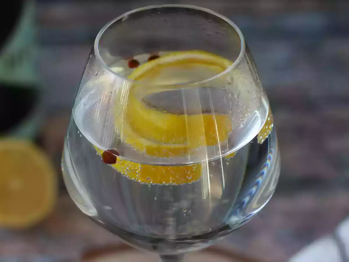 Gin tonic, easy and quick cocktail recipe - photo 4