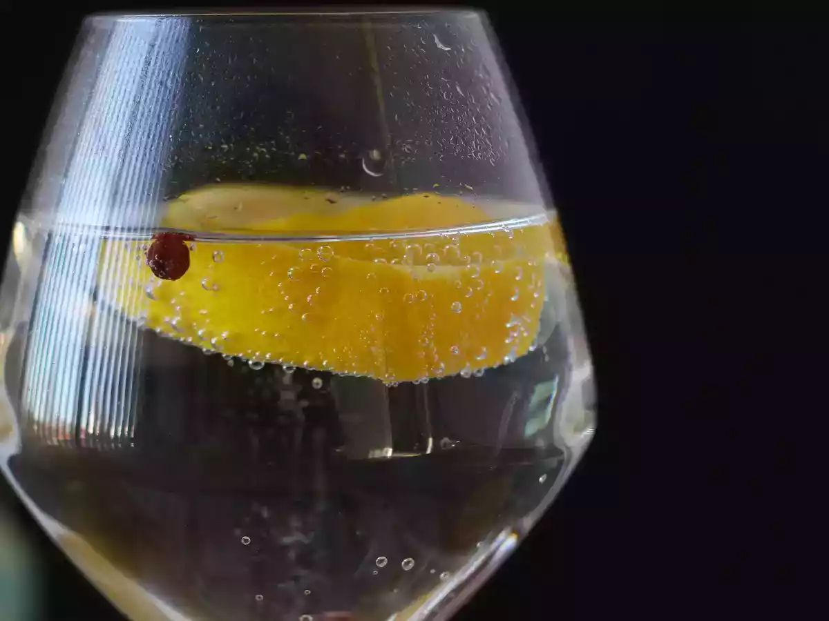 Gin tonic, easy and quick cocktail recipe - photo 5