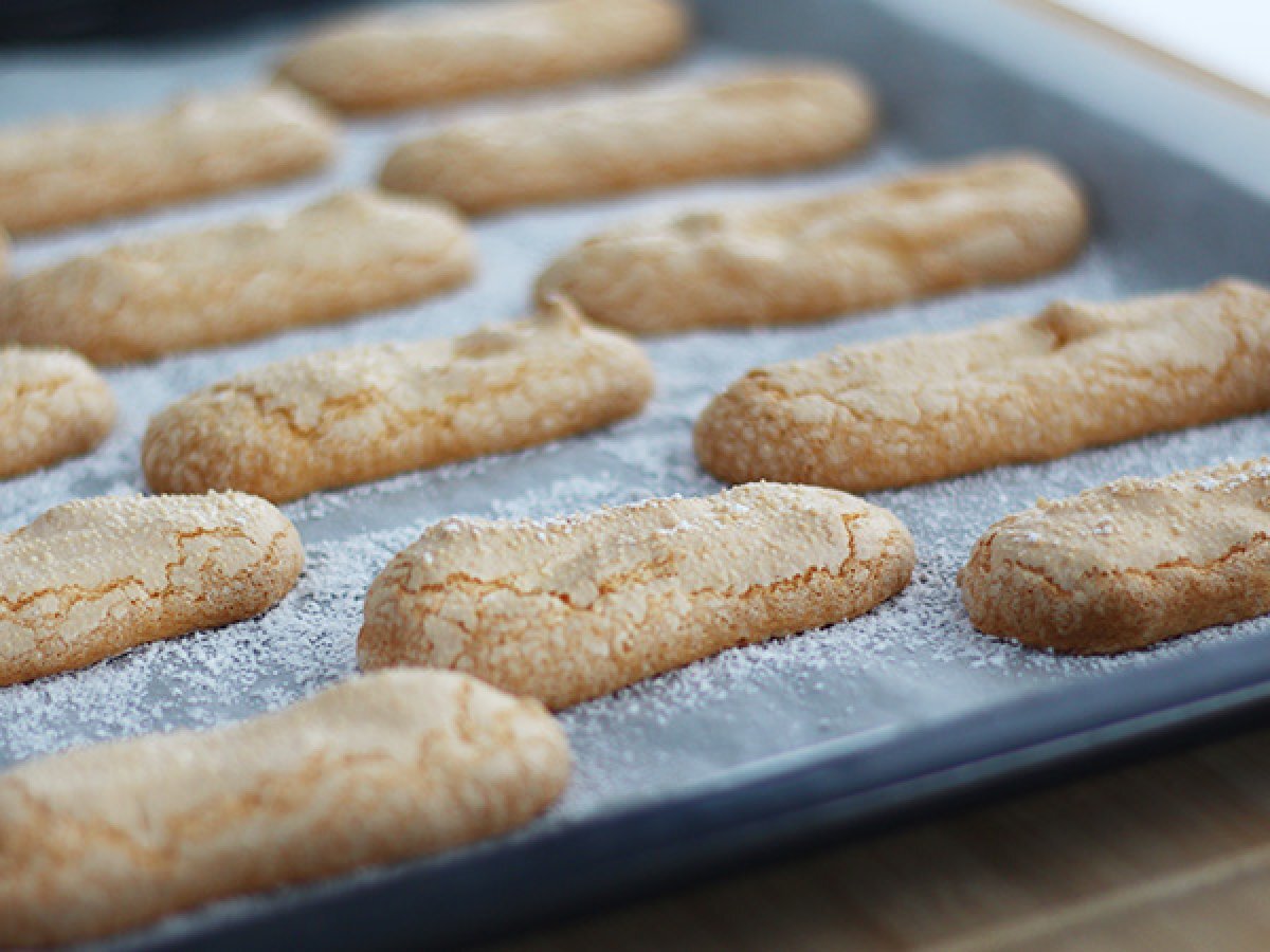 Gluten free lady fingers - Video recipe!