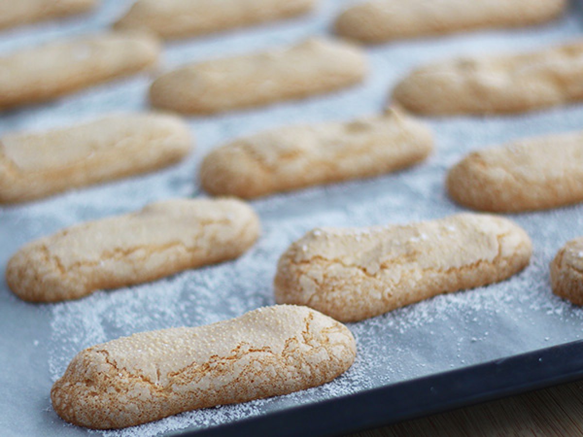 Gluten free lady fingers - Video recipe! - photo 2