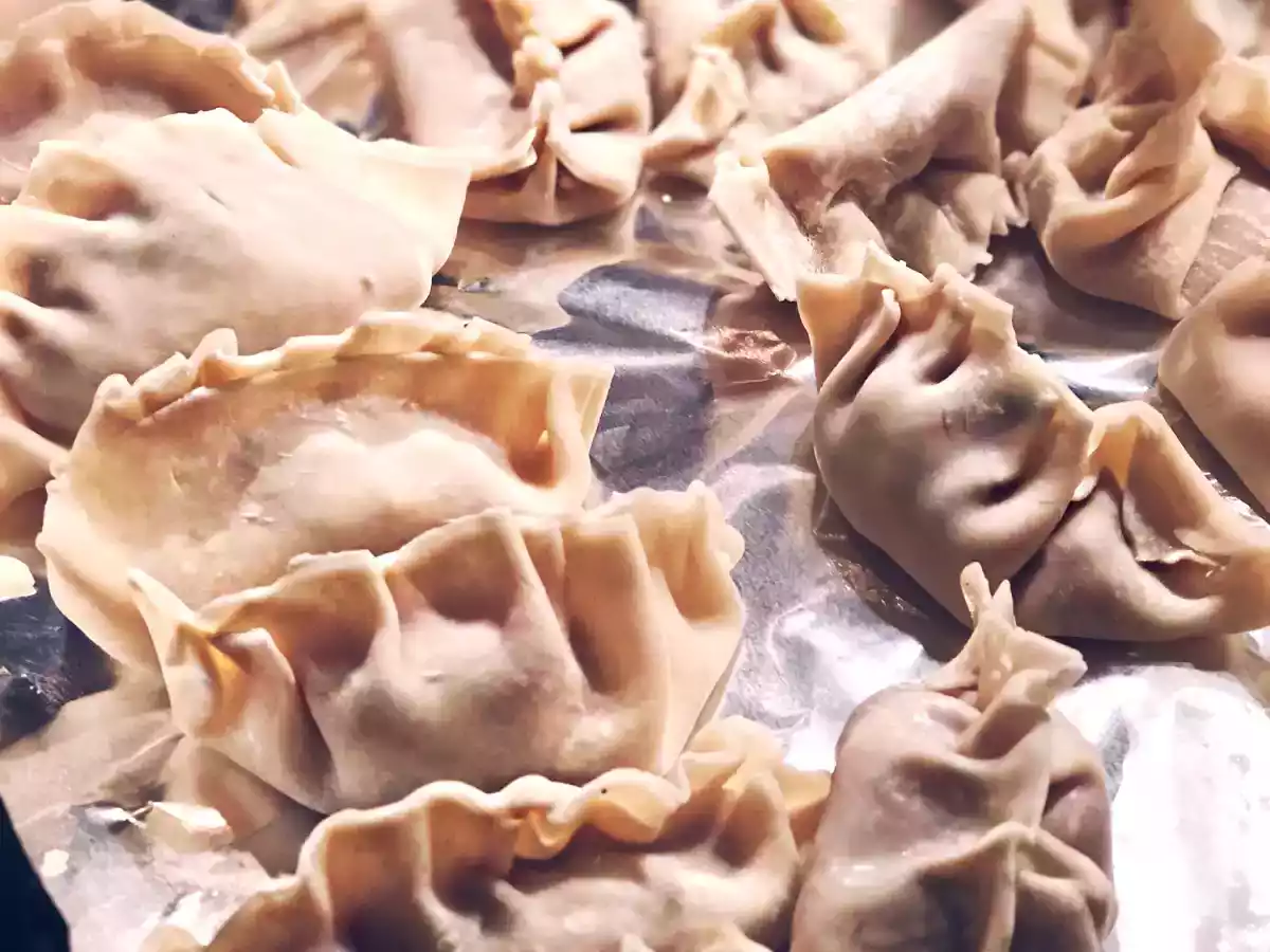 GYOZA DUMPLINGS: THE PRETTY FEED