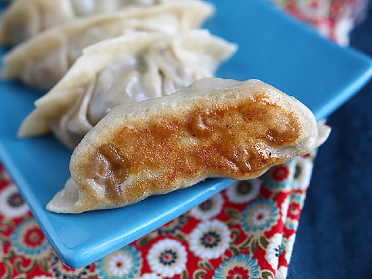 Gyozas stuffed with chicken, carrots and mushrooms - dumplings - photo 8