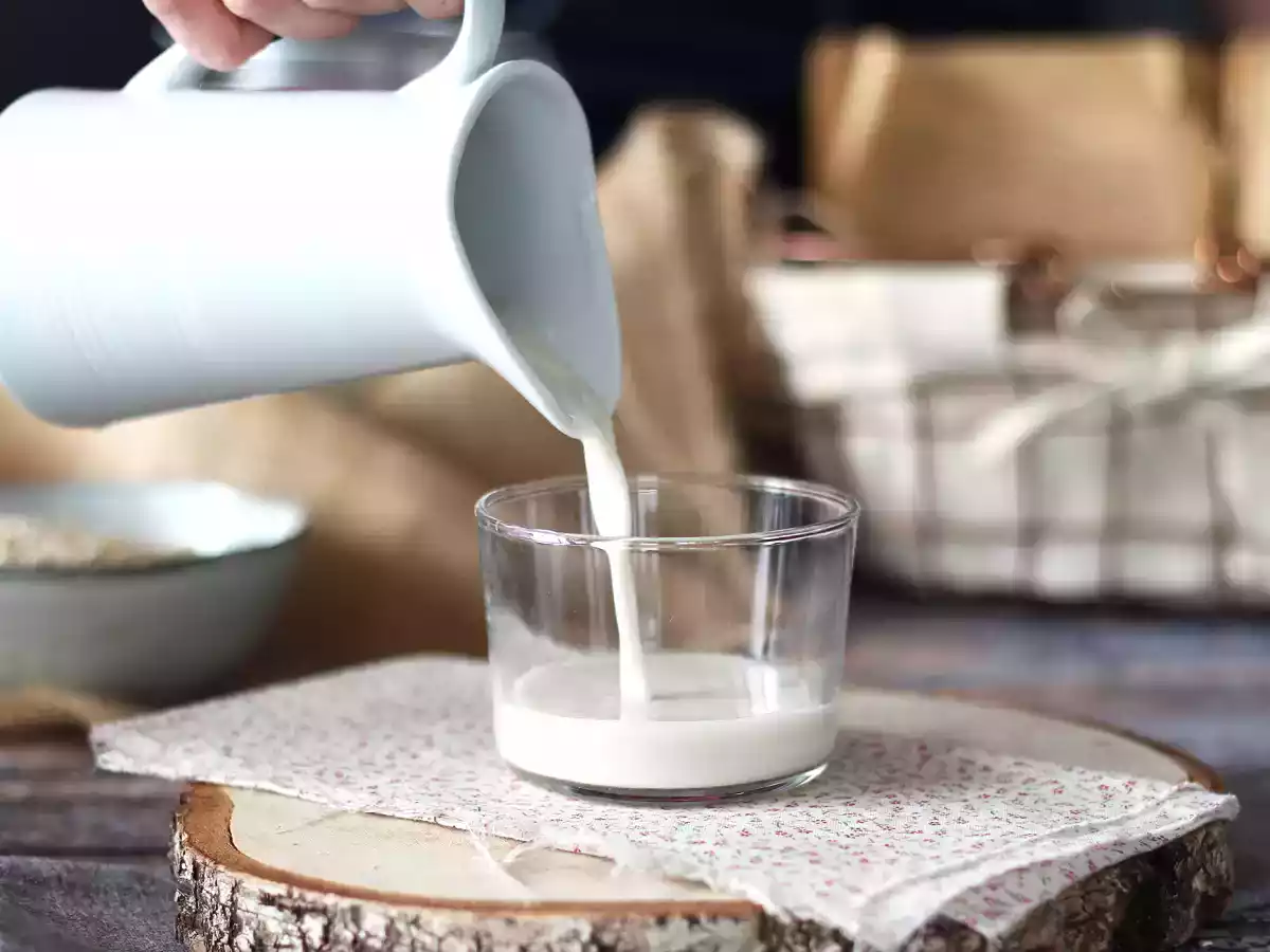 Homemade oat milk (easy, quick, and economical!) - photo 2