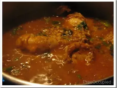 Hyderabadi Chicken Haleem - photo 2