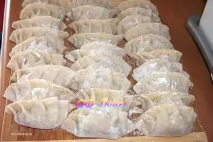 Jiao zi - Gyoza - Mandu - Chinese Dumpling