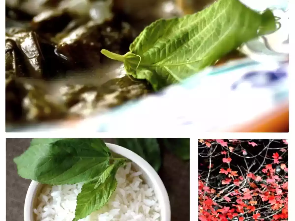 Jute Mallow Leaves and Chicken Stew - photo 2