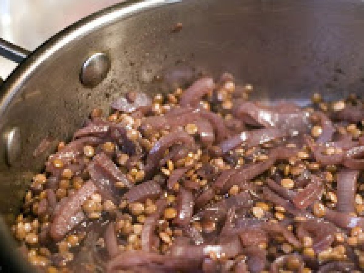 Laganophake: Roman Lentil & Red Wine Stew - photo 3