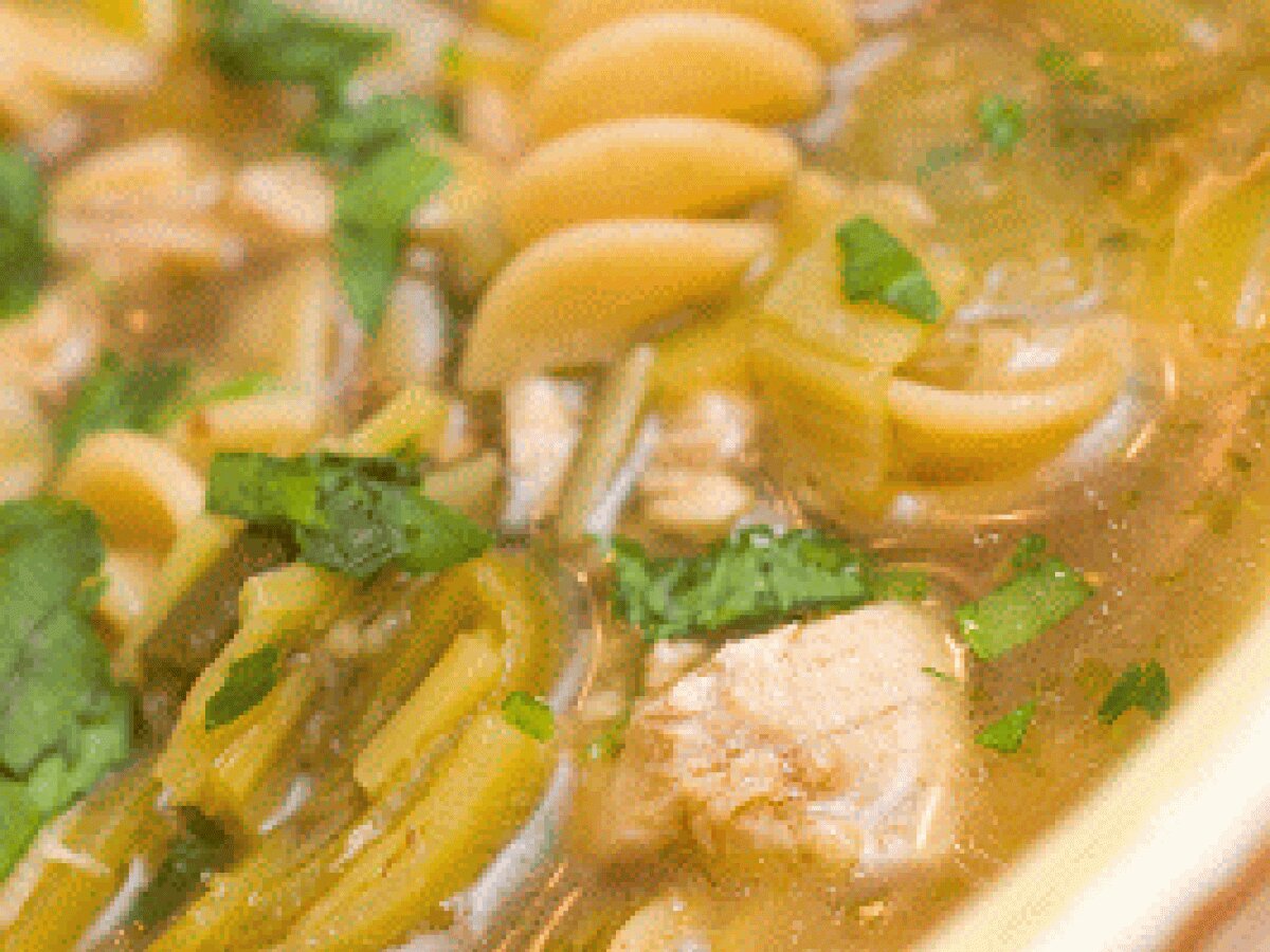 Leeky Chicken Soup - photo 3