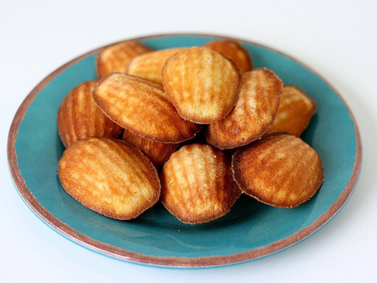 Lemon Madeleines