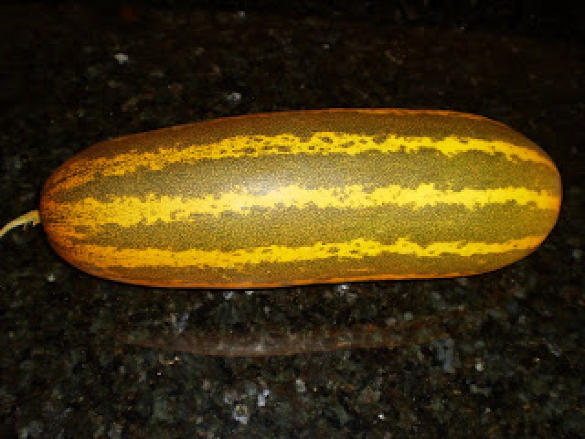 Mangalore Cucumber Ghassi (curry) - photo 2