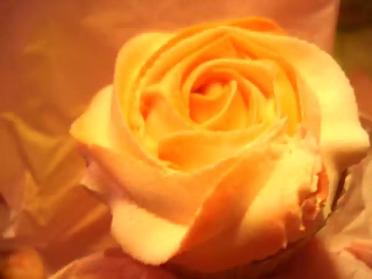Mothers Day Cupcake Bouquets - photo 2
