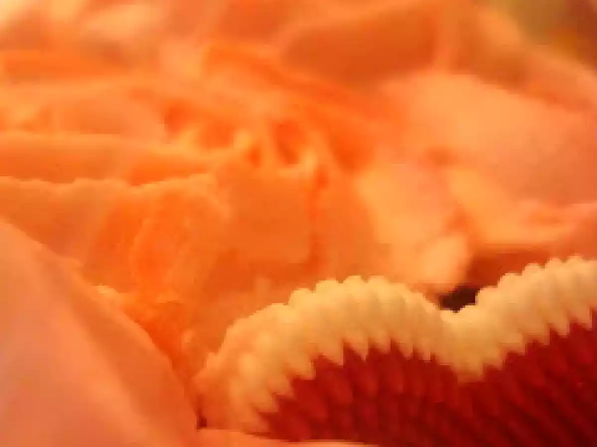 Mothers Day Cupcake Bouquets - photo 3