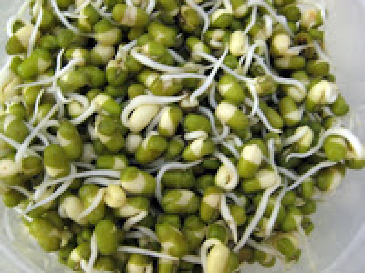 Mulai payaru Sundal (Mung sprouts salad) - photo 2