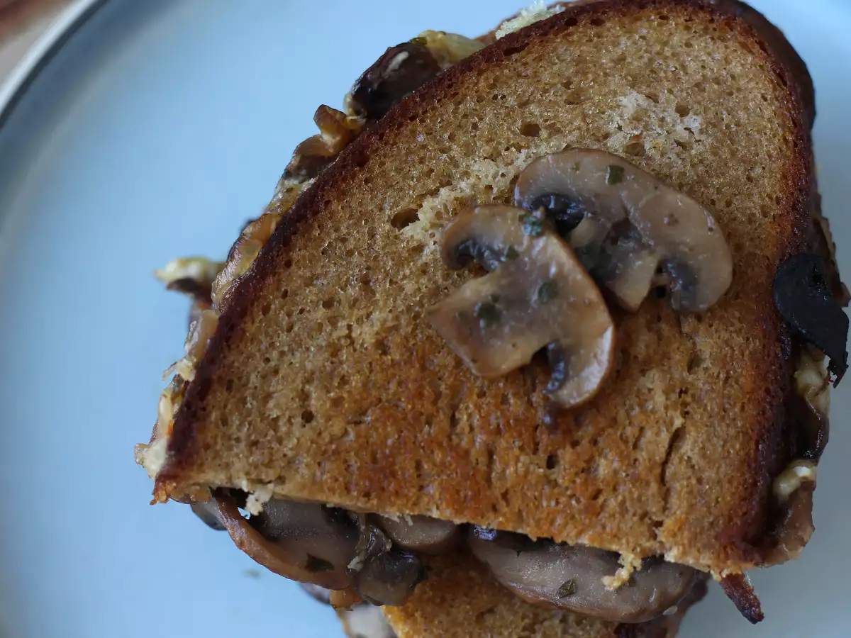 Mushroom and grated cheese grilled cheese - photo 2