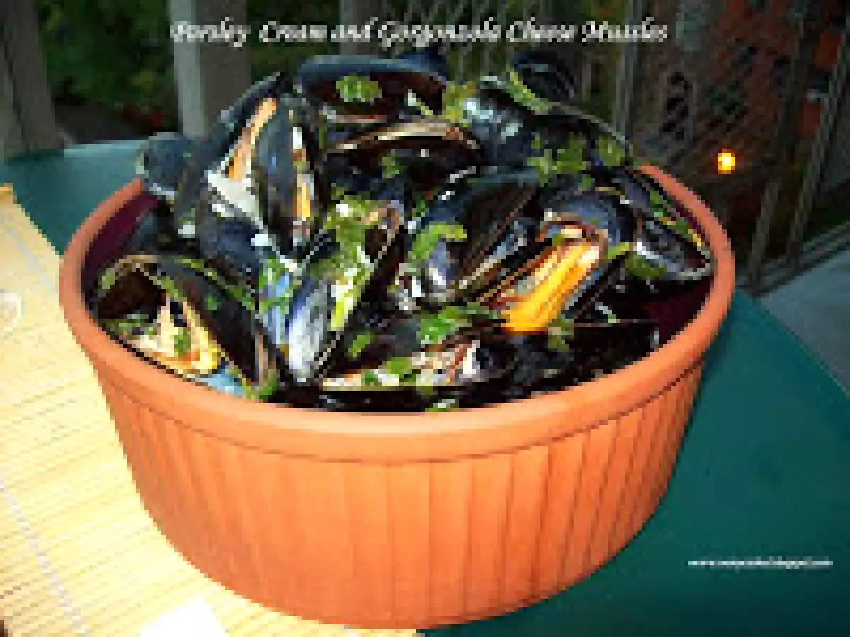 Mussels in creamy gorgonzola sauce - photo 2