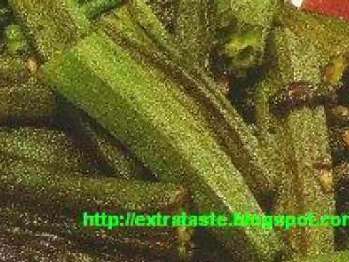 Okra (Bhindi) with Coriander and Tomatoes