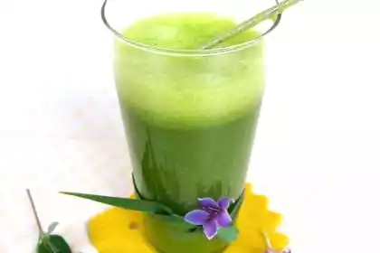 Pandan smoothie recipe: easy and healthy drink idea