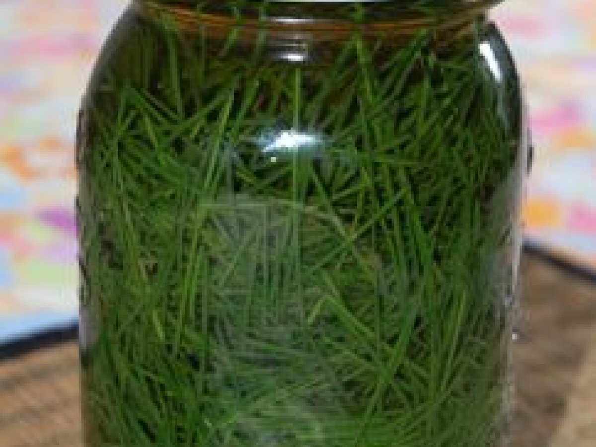 Pine Needle Vinegar