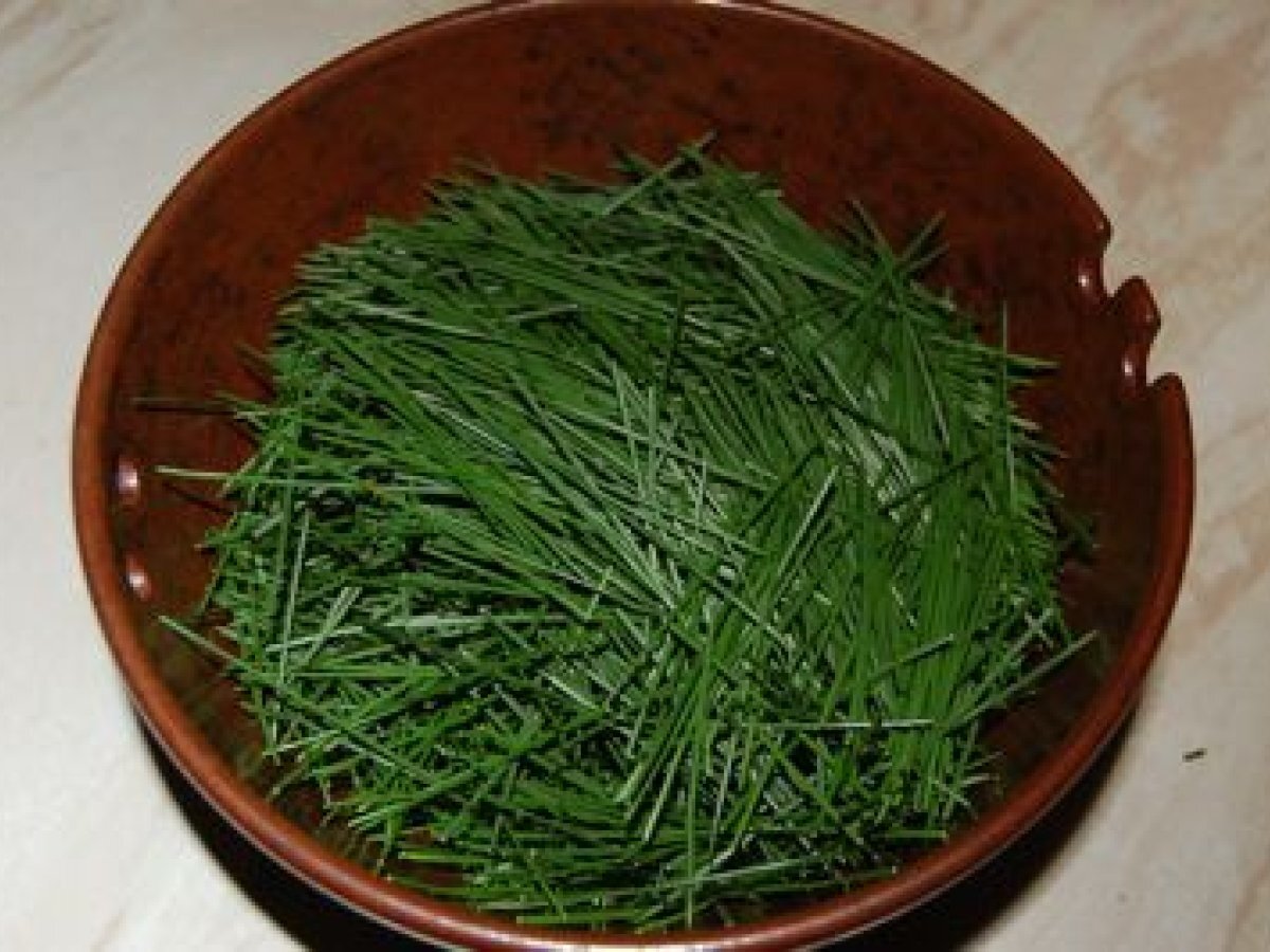 Pine Needle Vinegar - photo 2