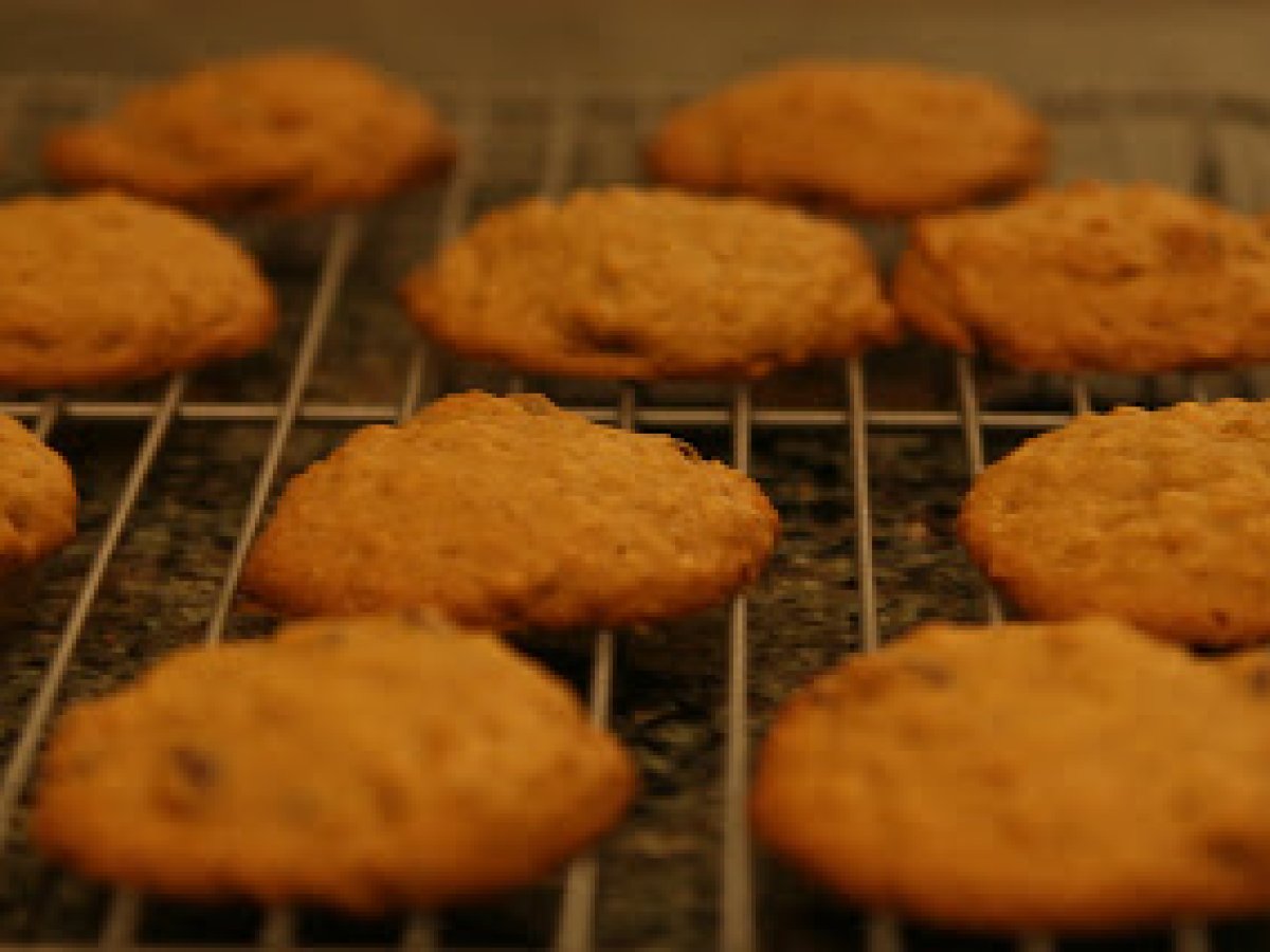 Pumpkin cookies. Pumpkin cupcakes. Did you know I love Pumpkin? - photo 2