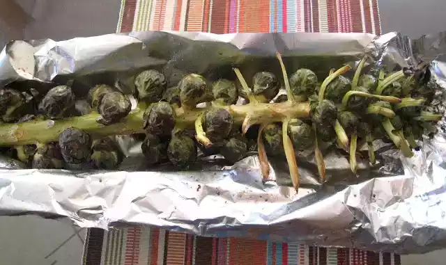 Roasted brussels sprouts recipe