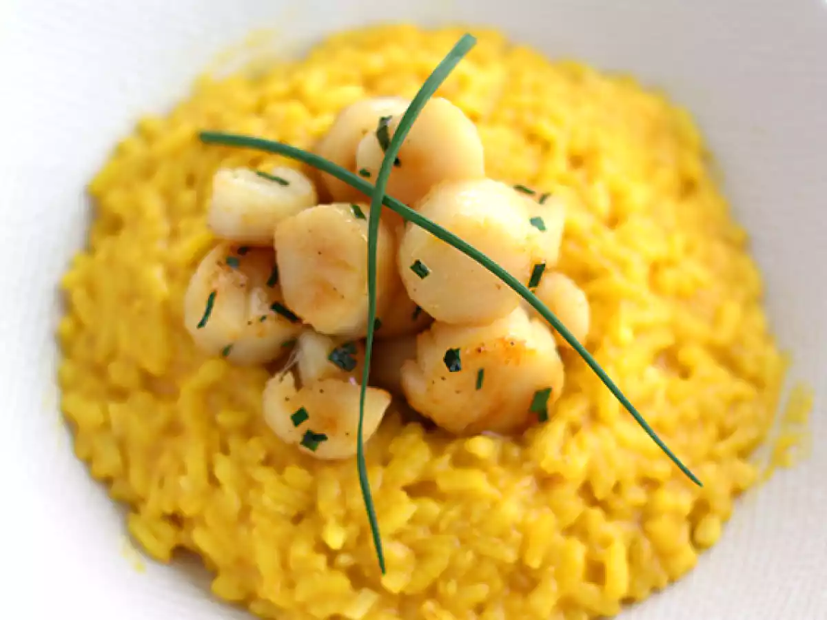 Saffron scallop risotto