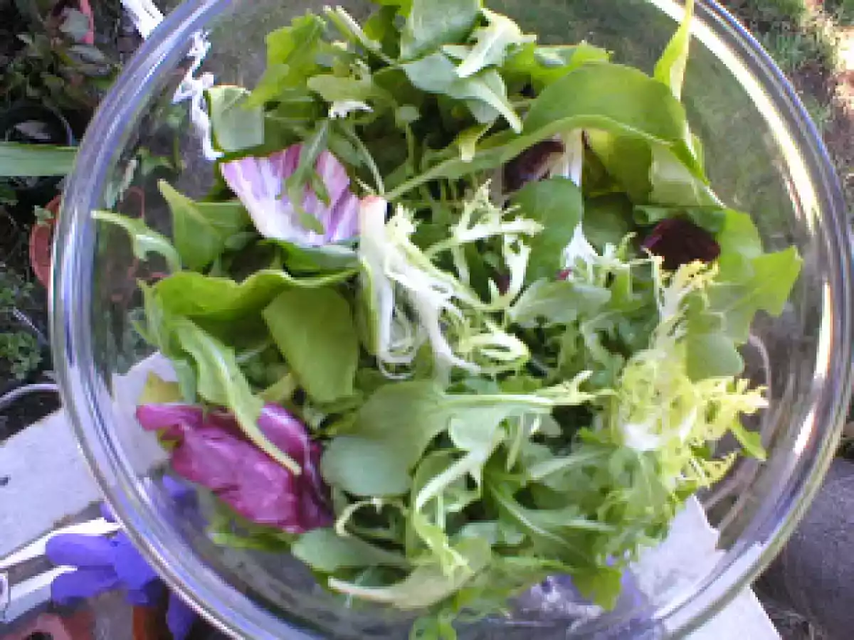Salatat Jarjeer ( Arugula Salad)