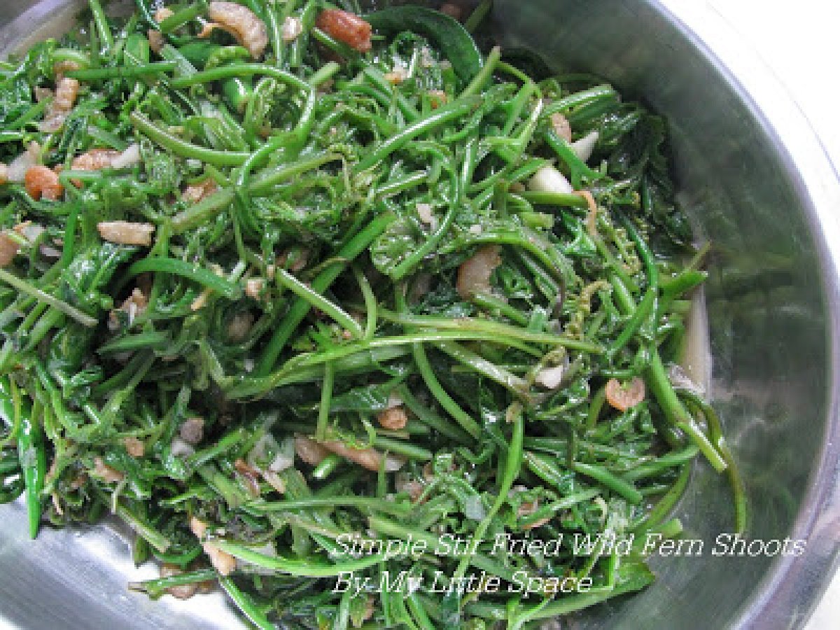 Simple Spicy Stir Fried Wild Fern Shoots