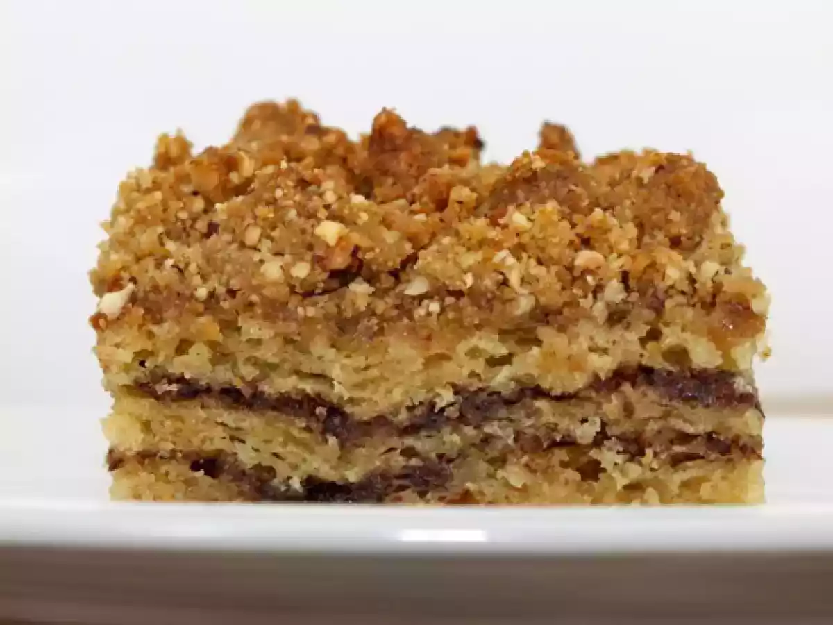 Sour Cream Coffee Cake with Chocolate-Cinnamon Swirls and Hazelnut Crumb Topping