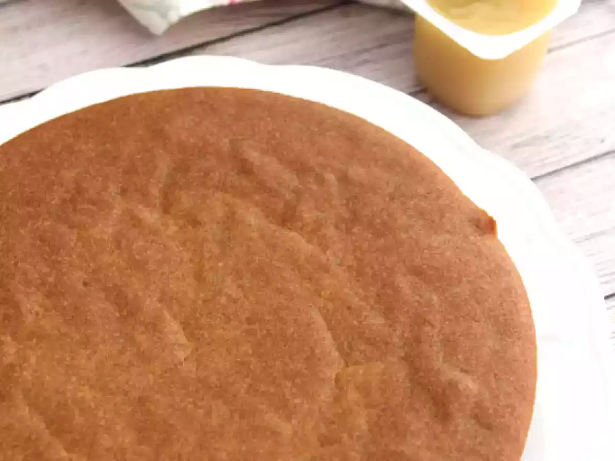 Soy yogurt and applesauce cake (vegan and gluten-free) - photo 2