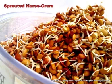 Sprouted Horse Gram and Cabbage Stir-fry