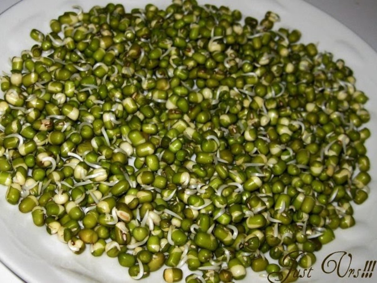 Sprouted Moong Curry - photo 2