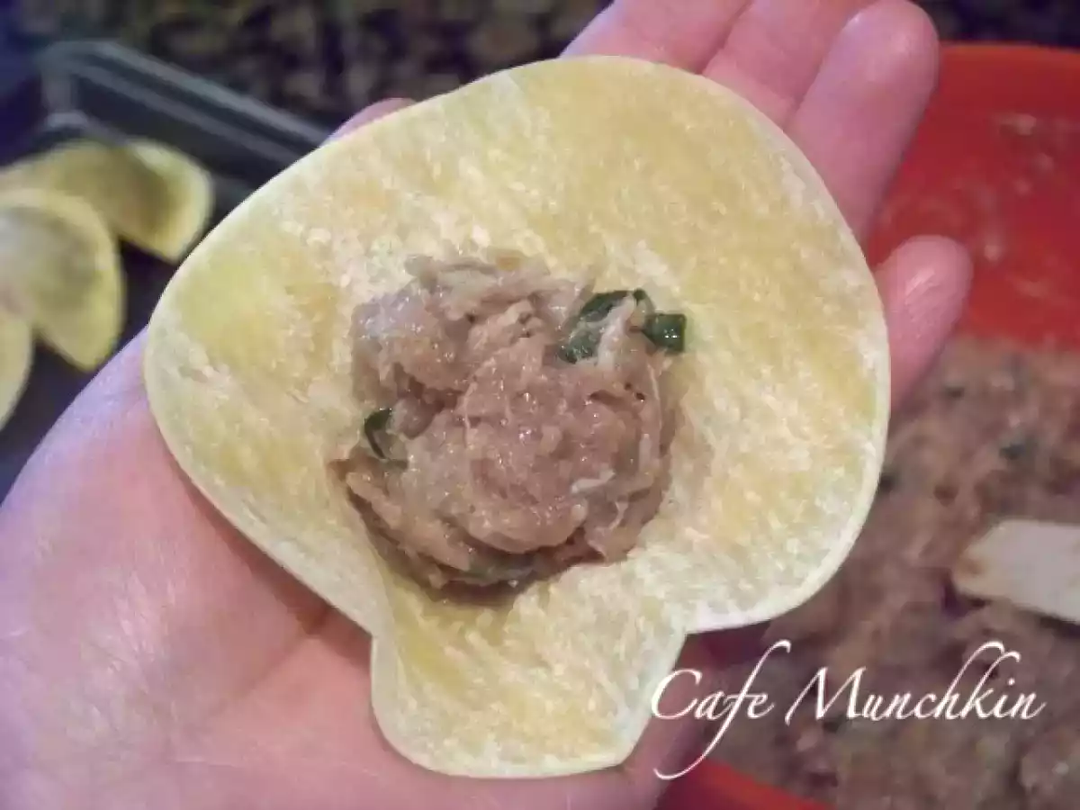 Steamed Dumplings - photo 2