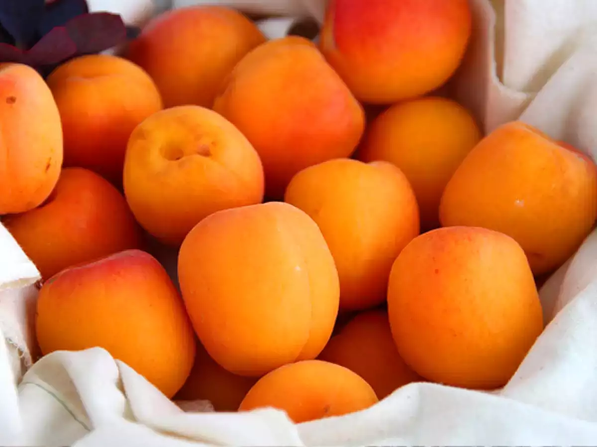Stuffed apricots with tuna and rosemary - photo 6