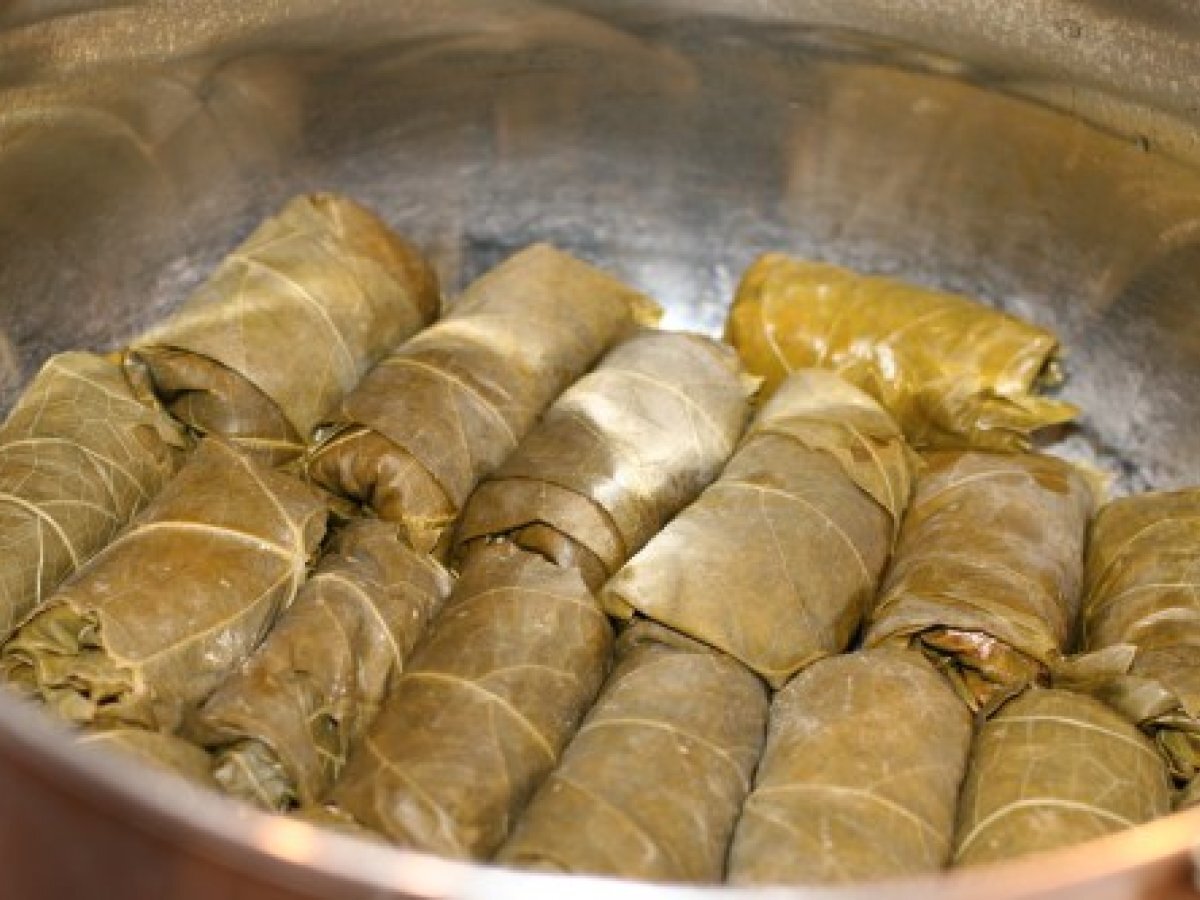 Stuffed Grape Leaves, Serbian Style - photo 2