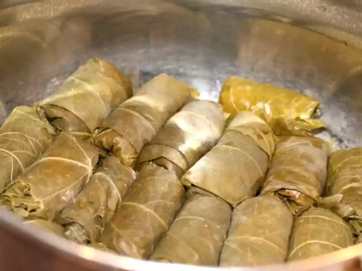 Stuffed Grape Leaves, Serbian Style - photo 2