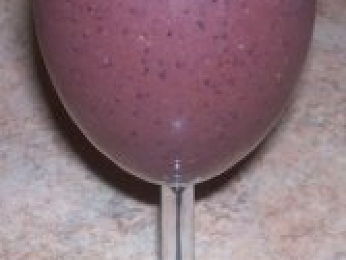 Super Mocha Berry Smoothie