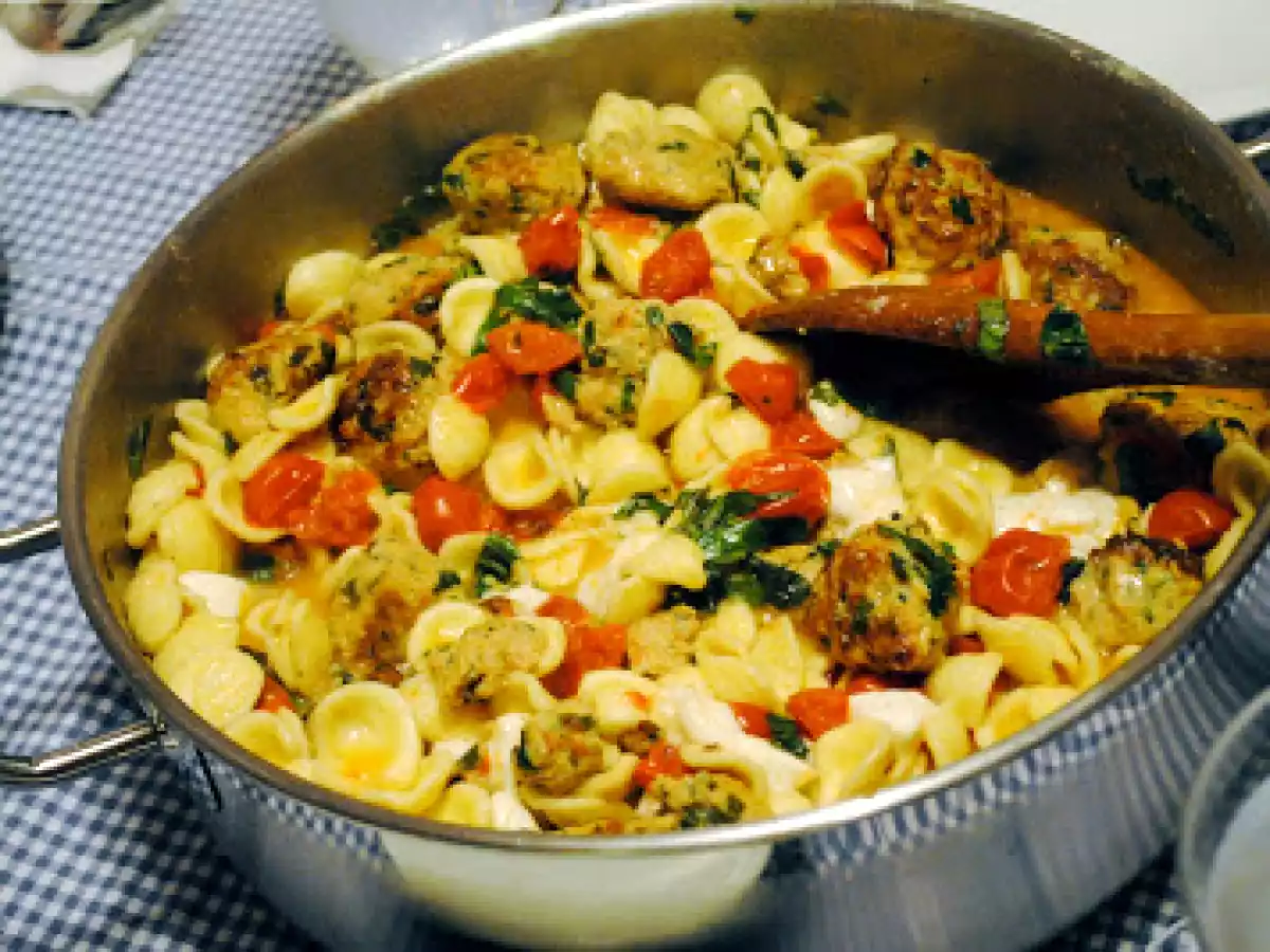 Tasty tuesday ~ orecchiette pasta w/ mini chicken meatballs