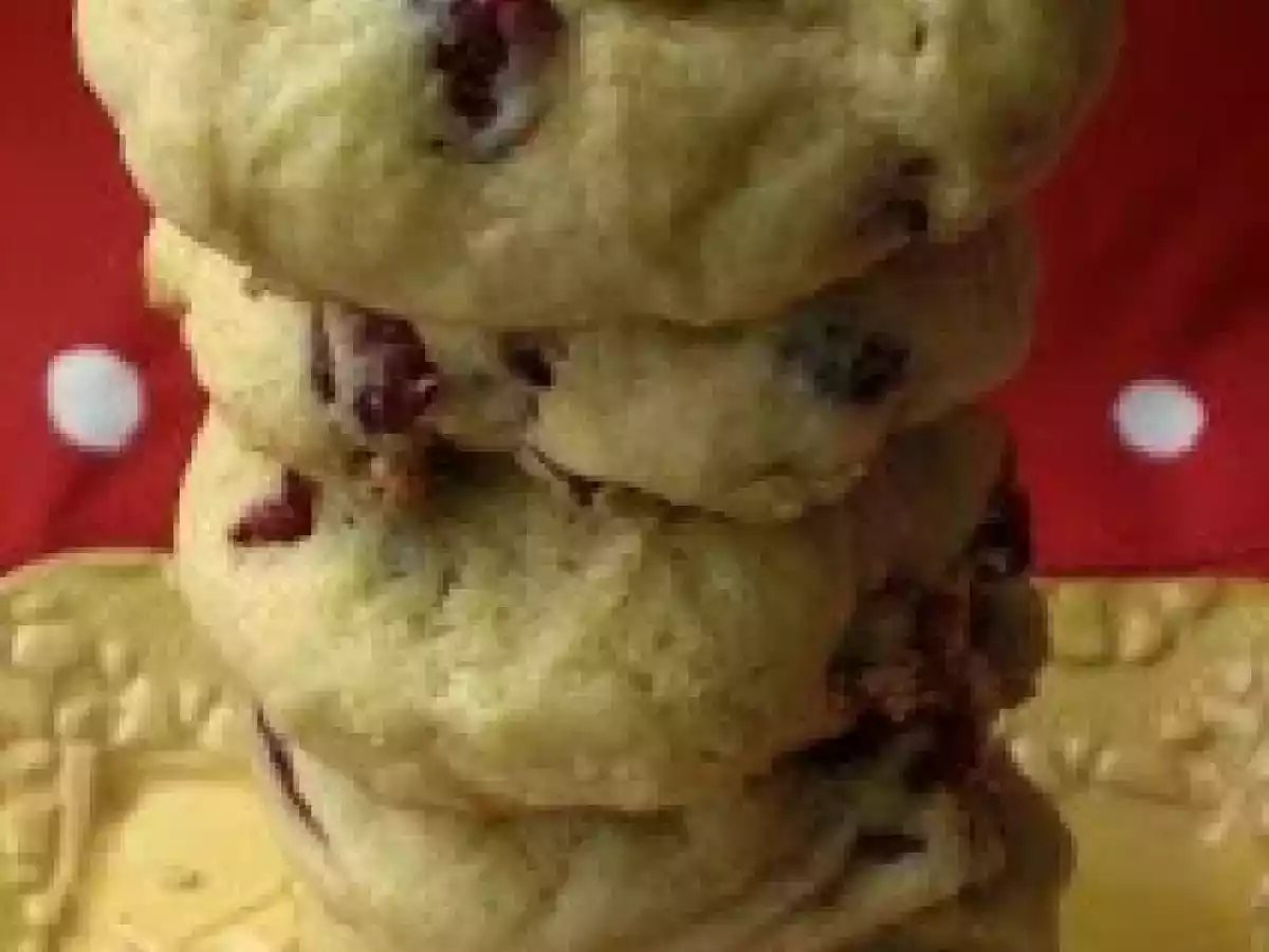 The infamous cranberry orange cookies? - photo 3