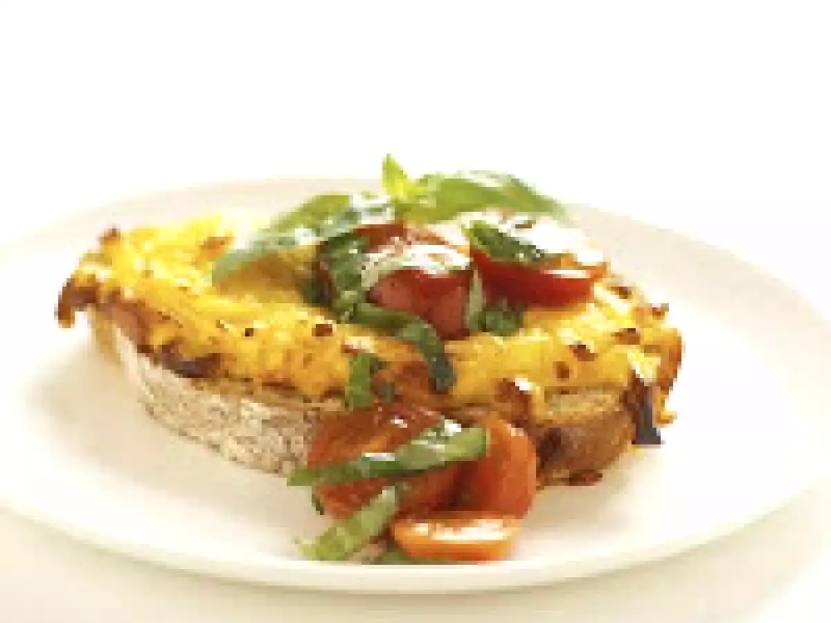 Tine Ridder Ost Cheese Soup and Two Norvegia Ost Norwegian Sandwich Recipes - photo 2