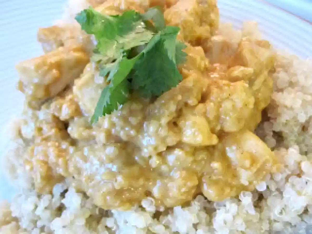 Twelve Boy Curry
