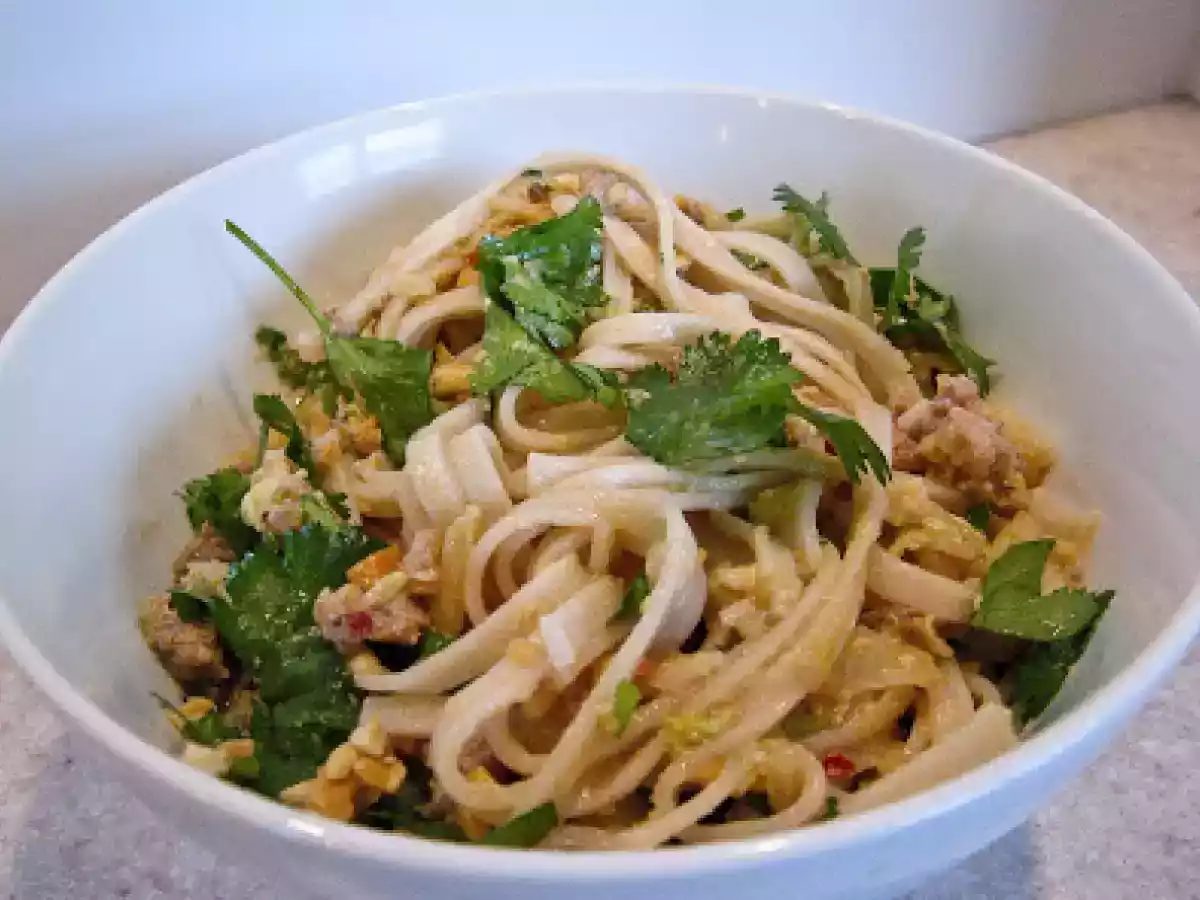 Udon Noodles With Spicy Sweet Ground Pork & Cabbage Sauce