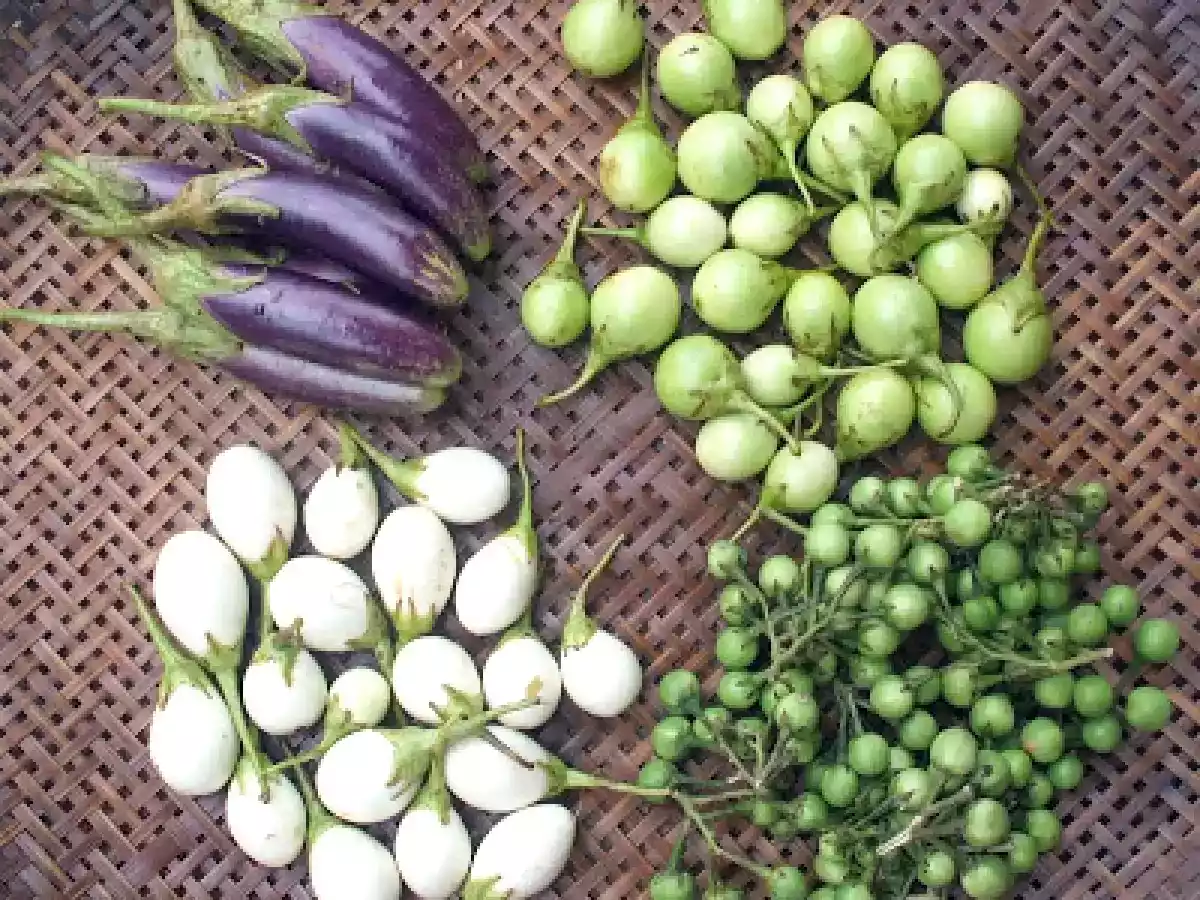 Varity of eggplants and beef green curry - photo 2